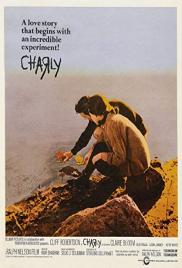 Charly - Virágot Algernonnak
