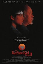 Karate kölyök 2.