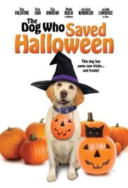 A kutya, aki megmentette a Halloweent
