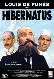 Heves jeges