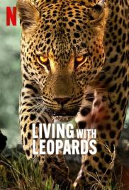 Leopárdok nyomában