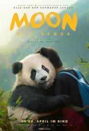 Moon, a panda